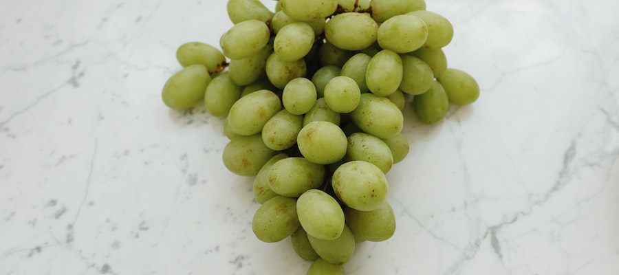 tipos de uvas para vinos